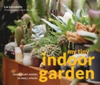My Tiny Indoor Garden