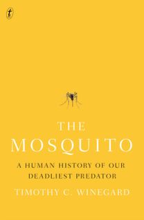 Mosquito