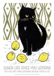 WHEN LIFE GIVES YOU LEMONS