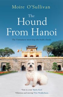 Hound from Hanoi