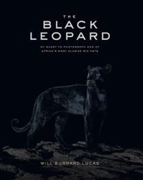 Black Leopard