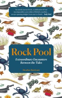 Rock Pool