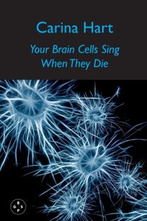 Your Brain Cells Sing when They Die