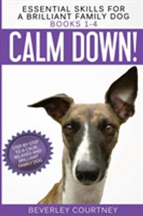 Essential Skills for a Brilliant Family Dog
