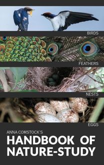 Handbook of Nature Study in Color - Birds