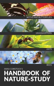 Handbook of Nature Study in Color - Insects