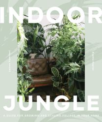 Leaf Supply Guide to Creating Your Indoor Jungle
