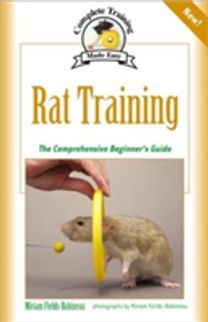 Rat Training