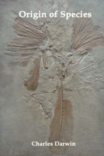 Origin of Species and the Foundations of the Origin of Species