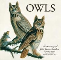 Owls