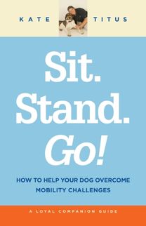 Sit. Stand. Go!