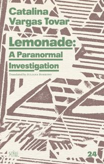 Lemonade: A Paranormal Investigation