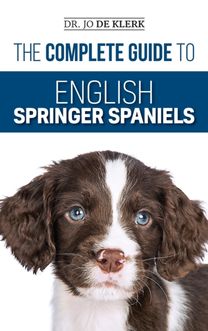 Complete Guide to English Springer Spaniels