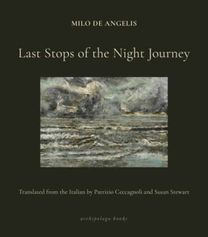 Last Stops of the Night Journey