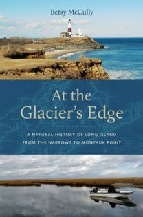At the Glacier's Edge