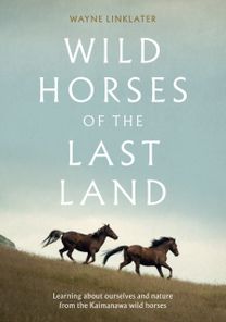 Wild Horses of the Last Land