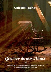 Grenier De Nos Maux