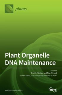 Plant Organelle Dna Maintenance