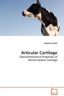 Articular Cartilage