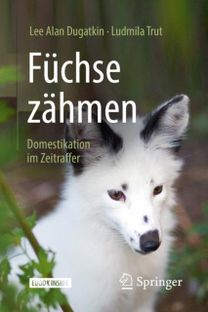 Fuchse Zahmen