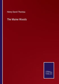 Maine Woods