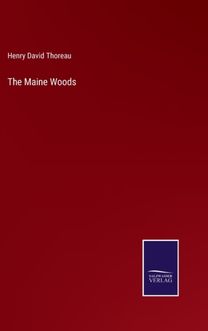 Maine Woods