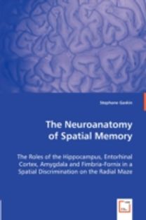 Neuroanatomy of Spatial Memory