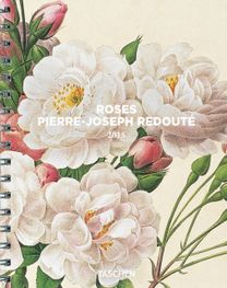 Redoute. Roses