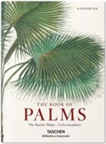 C.f.p. Von Martius: the Book of Palms