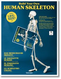 Build Your Own Human Skeleton