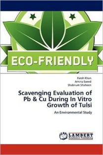Scavenging Evaluation of Pb & Cu During in Vitro Growth of Tulsi