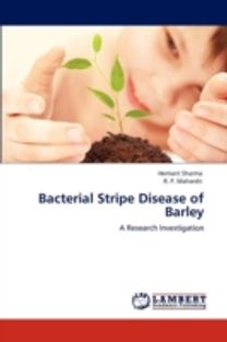 Bacterial Stripe Disease of Barley