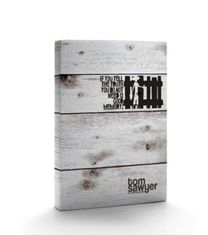 Nbs25 Adventures of Tom Sawyer