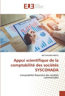 Appui Scientifique De La Comptabilite Des Societes Syscohada