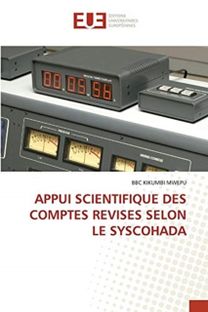 Appui Scientifique Des Comptes Revises Selon Le Syscohada