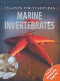 Marine Invertebrates