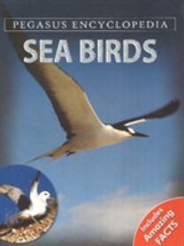 Sea Birdssea World
