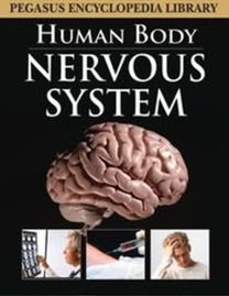 Nervous System