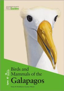 Birds and Mammals of the Galapagos