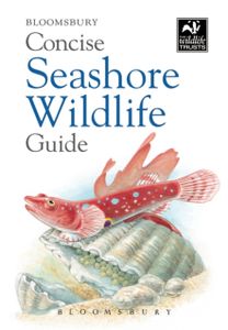Concise Seashore Wild Gd Co Ed Neth