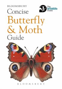 Conc Butterfly Moth Gd Co Ed Neth