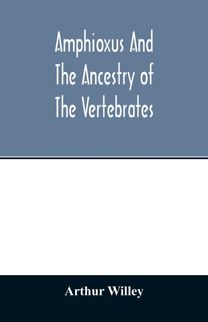 Amphioxus and the Ancestry of the Vertebrates Amphioxus and the Ancestry of the Vertebrates