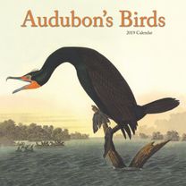 Audubons Birds 2019 Calendar