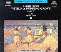 Within a Budding Grove