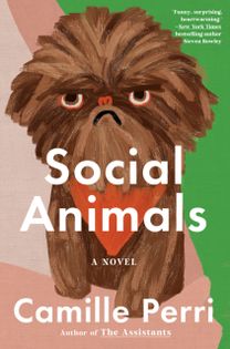 Social Animals