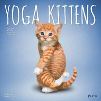 Yoga Kittens OFFICIAL | 2027 12 x 24 Inch (Hanging) Monthly Square Wall Calendar | Plato | Animals Humor Cats Feline