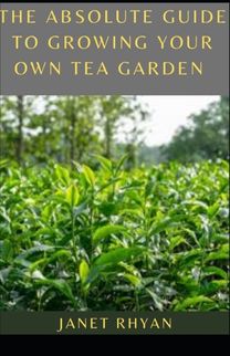 The Absolute Guide to Growing Your Own Tea Garden