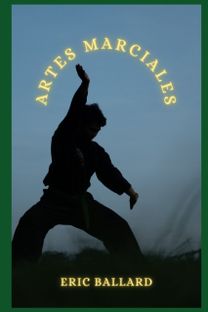 Artes Marciales