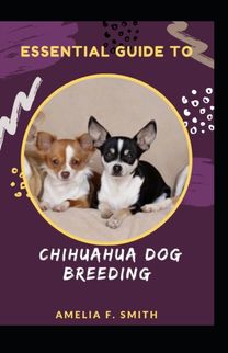 Essential Guide to Chihuahua Dog Breeding for Beginners and Dummies