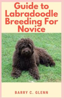 Guide to Labradoodle Breeding for Novice Guide to Labradoodle Breeding for Novice